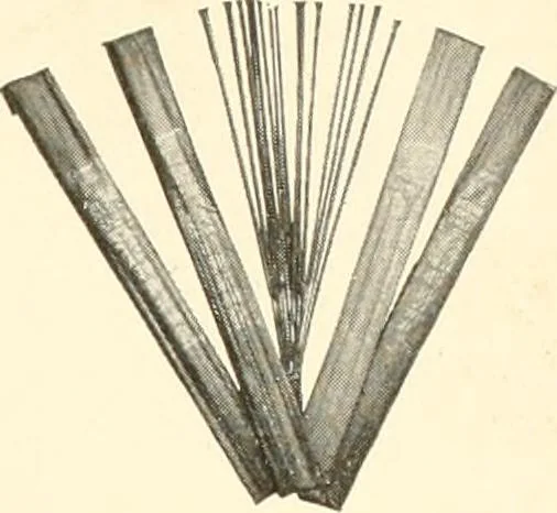 An illustration from [Catalog], 1914, leaf 46