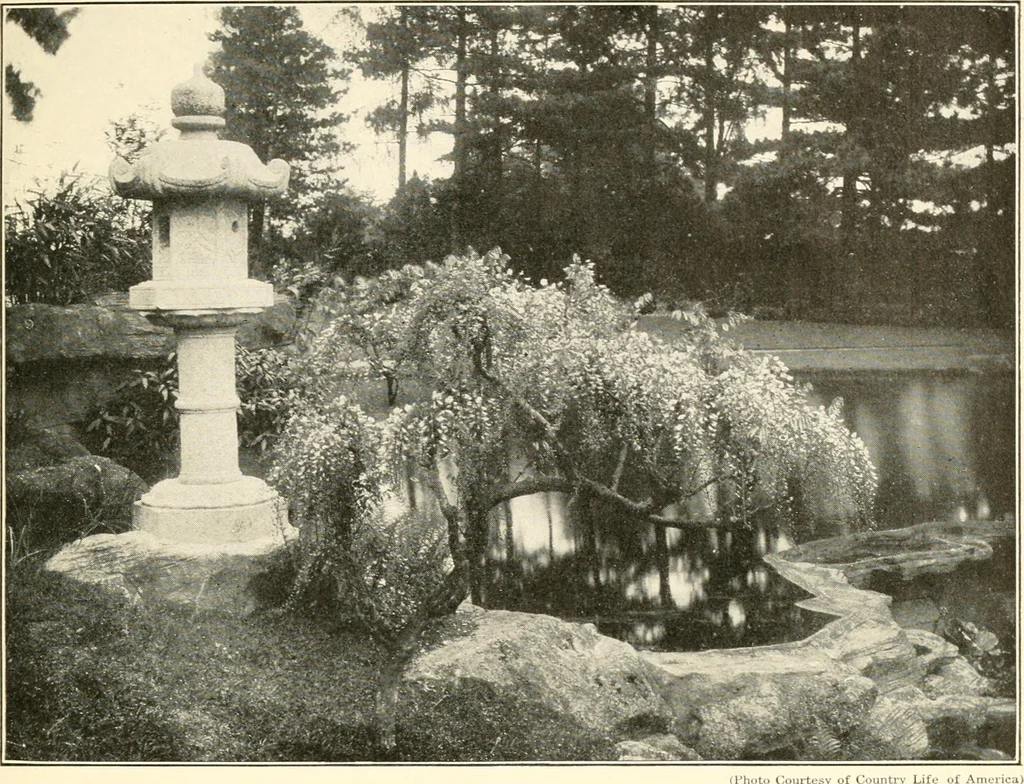 An illustration from [Catalog], 1914, leaf 50