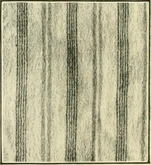 An illustration from [Catalog], 1914, leaf 7