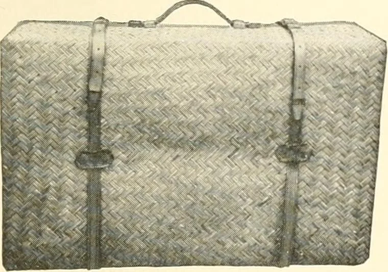 An illustration from [Catalog], 1914, leaf 8