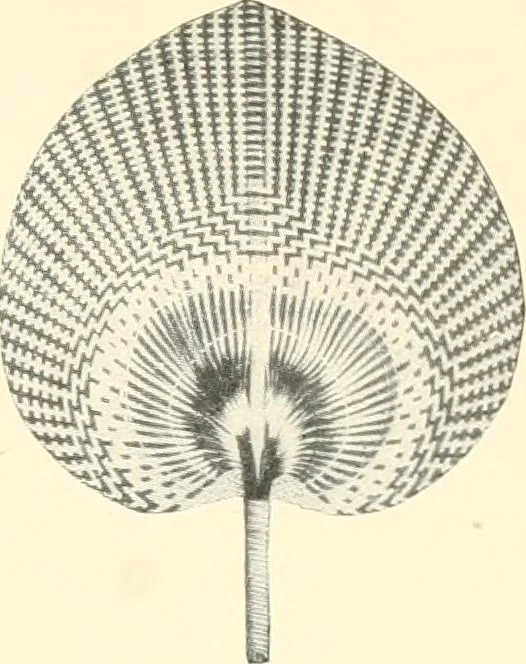An illustration from [Catalog], 1914, leaf 8