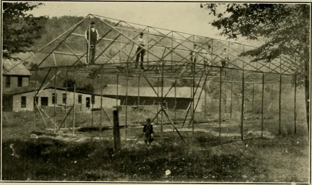 An illustration from [Catalog], 1915, leaf 17