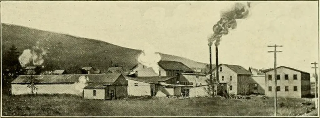 An illustration from [Catalog], 1915, leaf 54