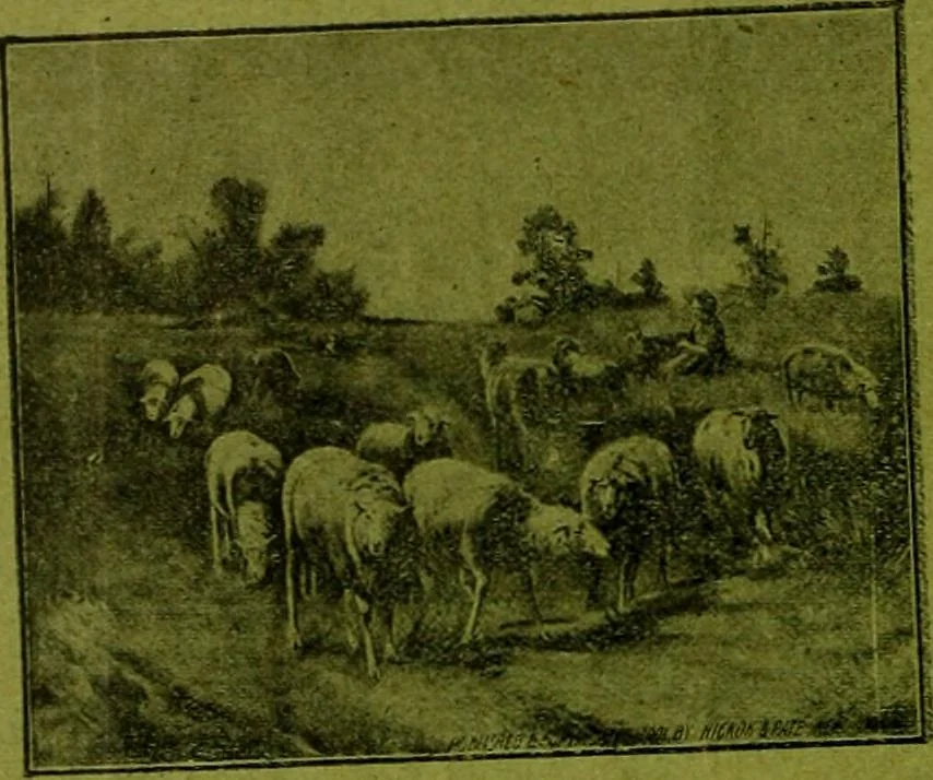 An illustration from [Catalog], 1902, leaf 1