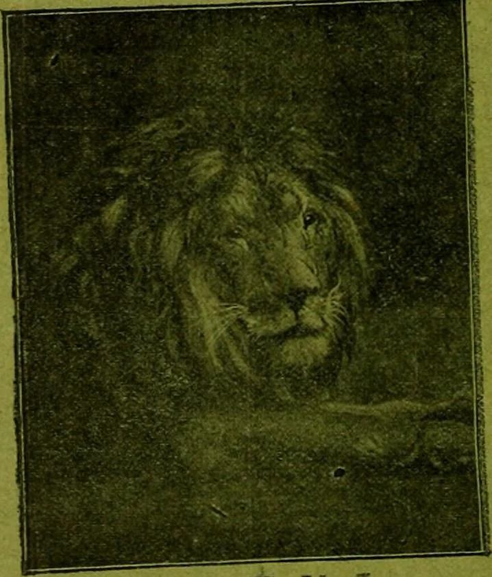 An illustration from [Catalog], 1902, leaf 1