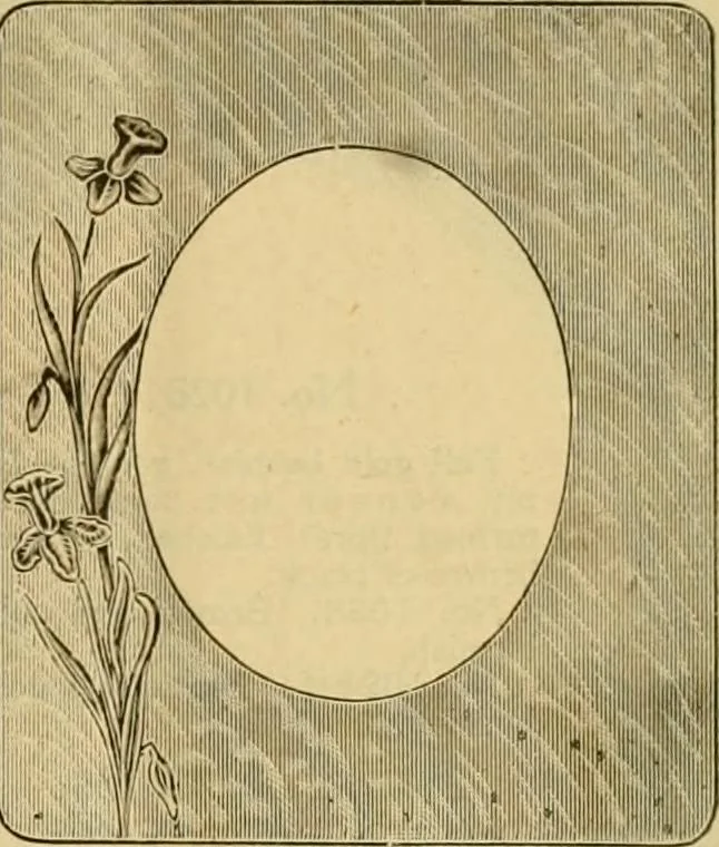 An illustration from [Catalog], 1902, leaf 12