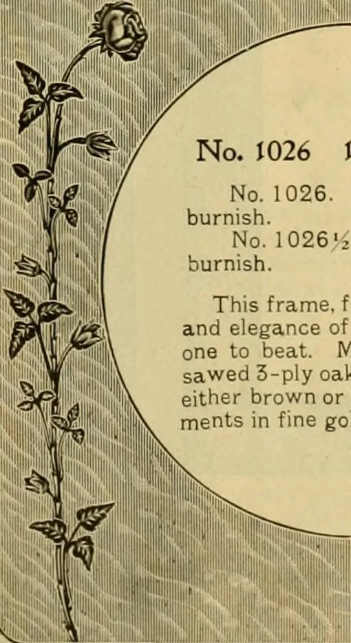 An illustration from [Catalog], 1902, leaf 12