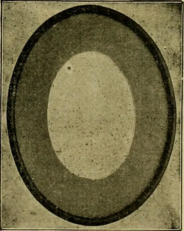 An illustration from [Catalog], 1902, leaf 30