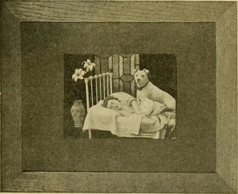 An illustration from [Catalog], 1902, leaf 32