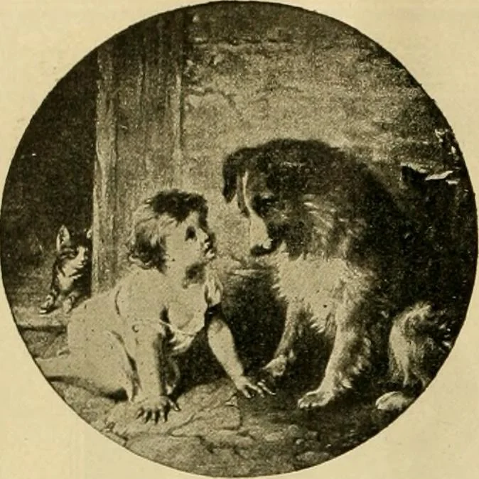An illustration from [Catalog], 1902, leaf 33