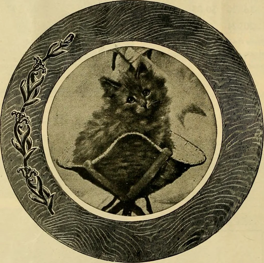 An illustration from [Catalog], 1902, leaf 33