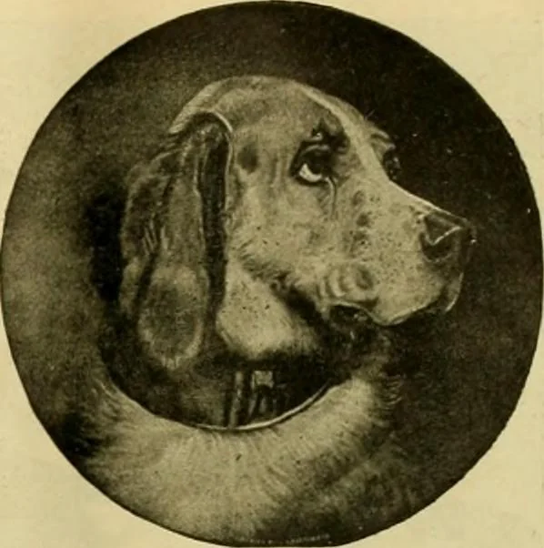An illustration from [Catalog], 1902, leaf 34