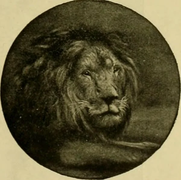 An illustration from [Catalog], 1902, leaf 34