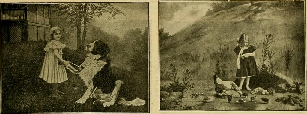 An illustration from [Catalog], 1902, leaf 36