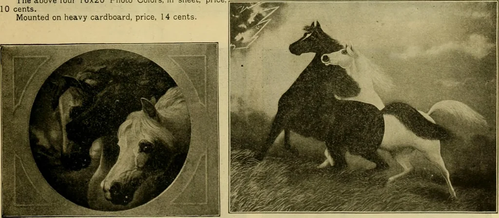 An illustration from [Catalog], 1902, leaf 36
