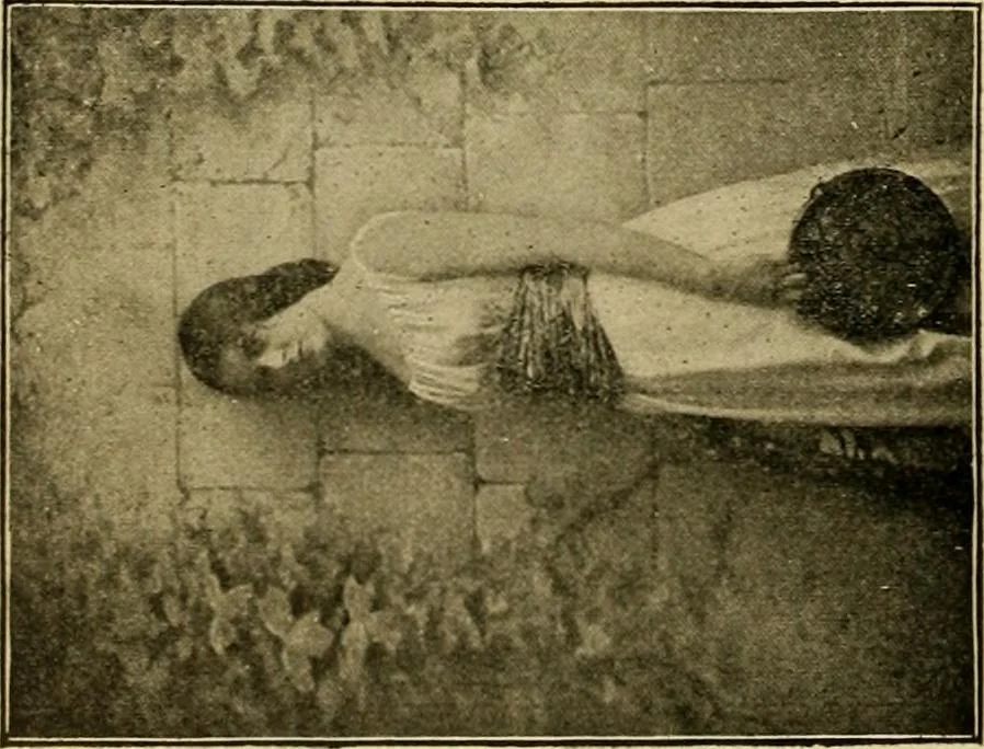 An illustration from [Catalog], 1902, leaf 37