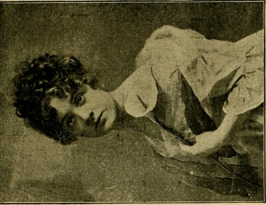 An illustration from [Catalog], 1902, leaf 40