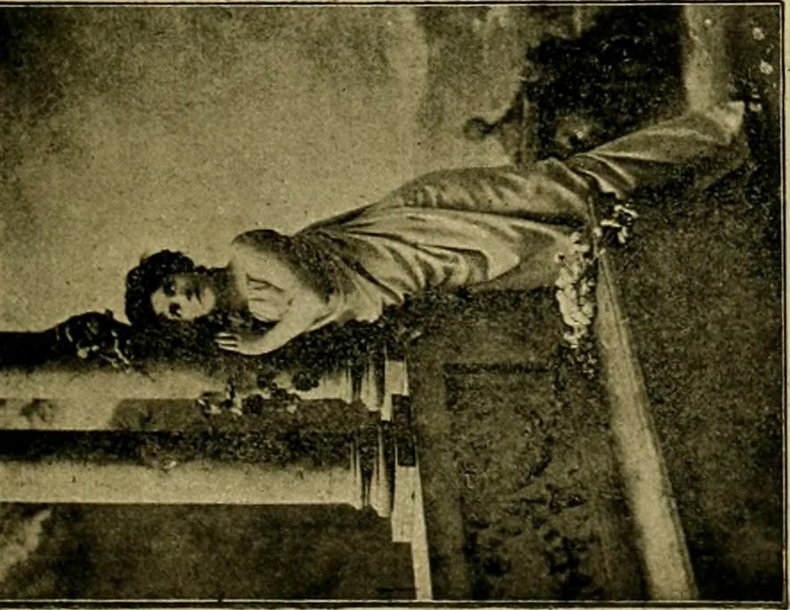 An illustration from [Catalog], 1902, leaf 40
