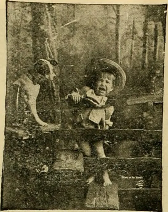 An illustration from [Catalog], 1902, leaf 41