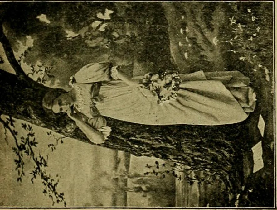 An illustration from [Catalog], 1902, leaf 42