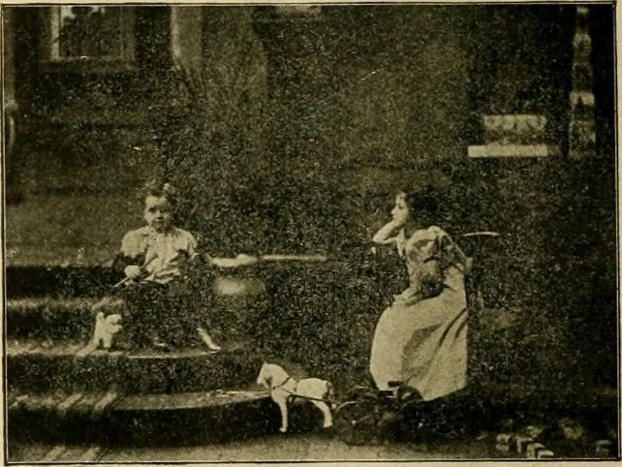 An illustration from [Catalog], 1902, leaf 43