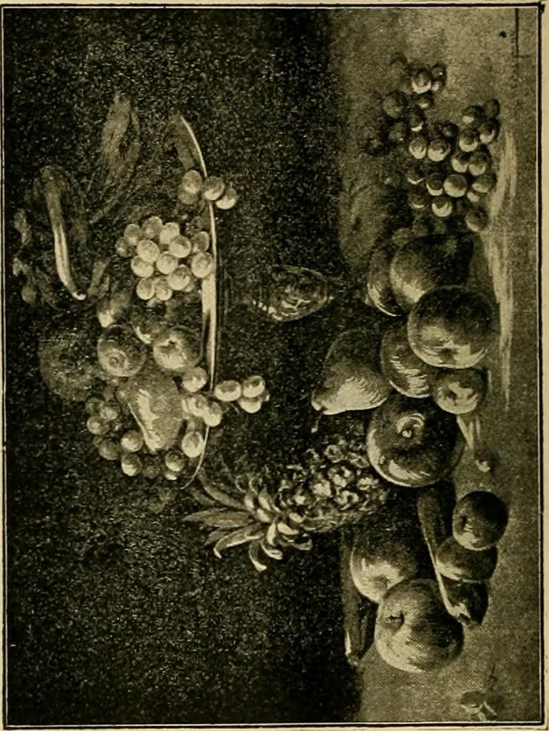 An illustration from [Catalog], 1902, leaf 47