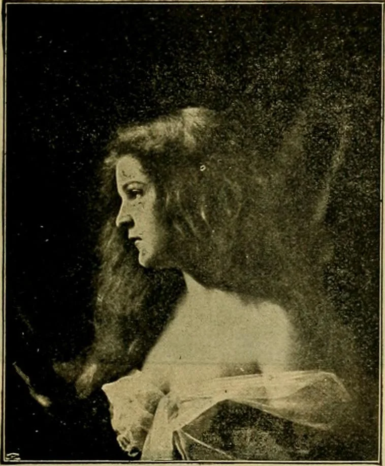 An illustration from [Catalog], 1902, leaf 48