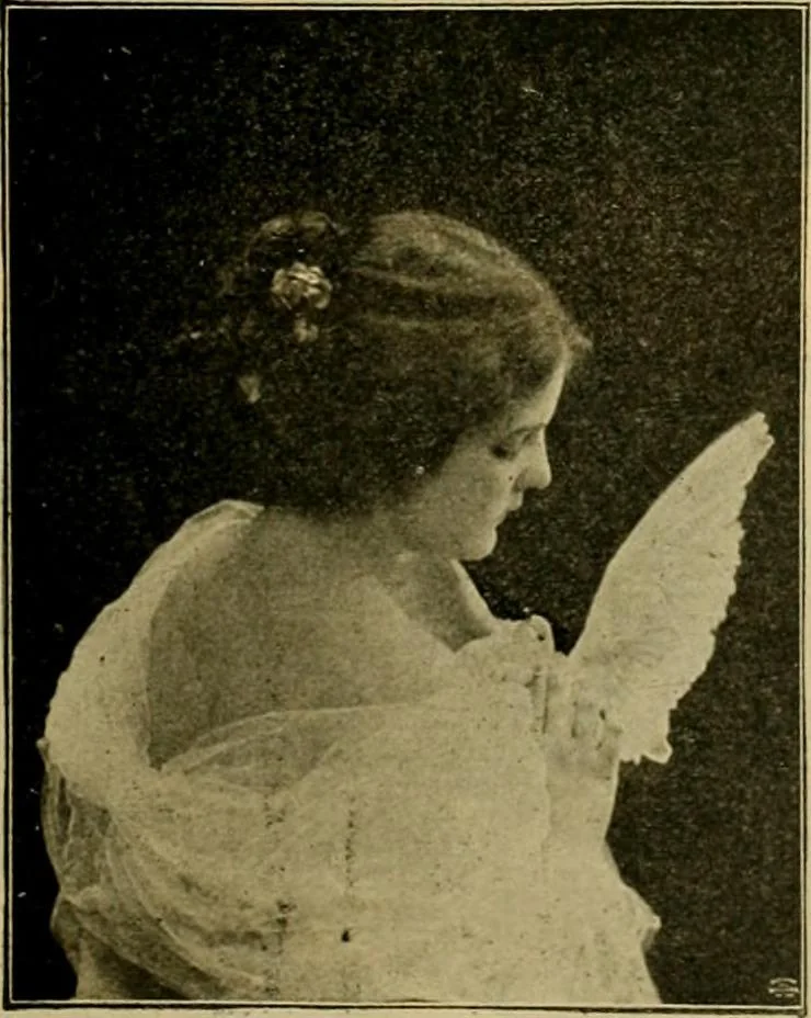 An illustration from [Catalog], 1902, leaf 48
