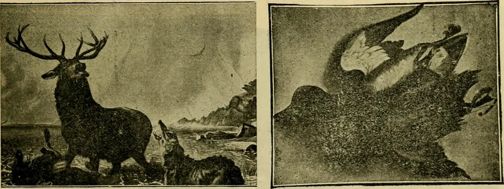 An illustration from [Catalog], 1902, leaf 50