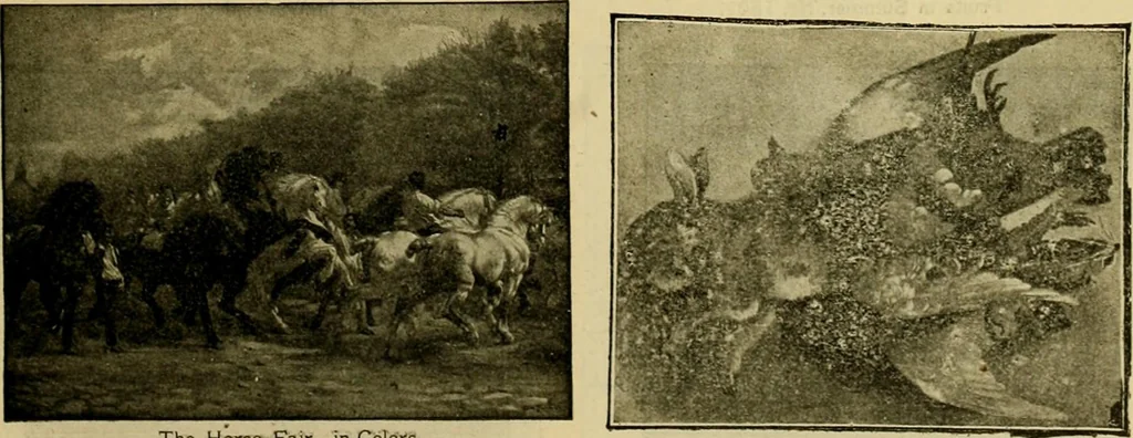 An illustration from [Catalog], 1902, leaf 50