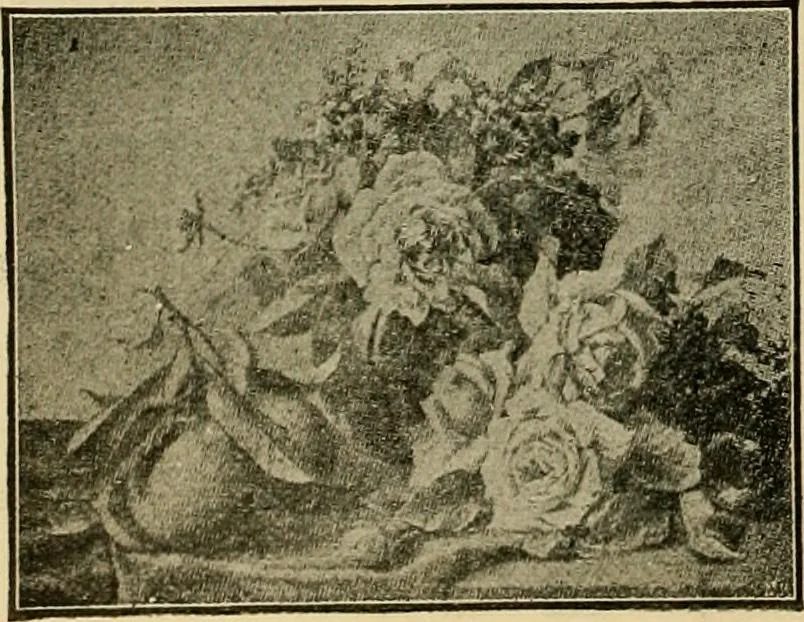 An illustration from [Catalog], 1902, leaf 51