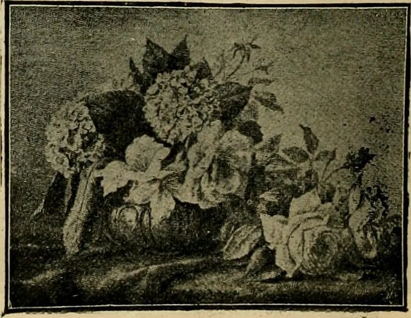 An illustration from [Catalog], 1902, leaf 51