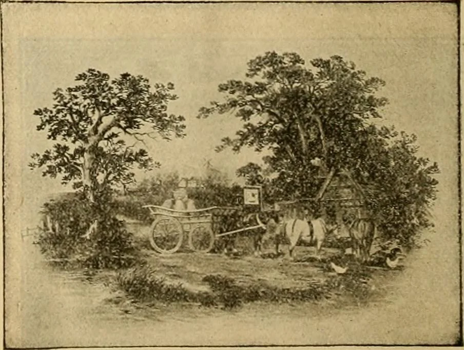 An illustration from [Catalog], 1902, leaf 53