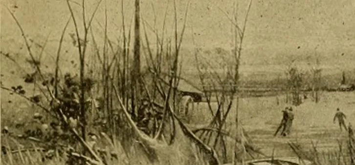 An illustration from [Catalog], 1902, leaf 54