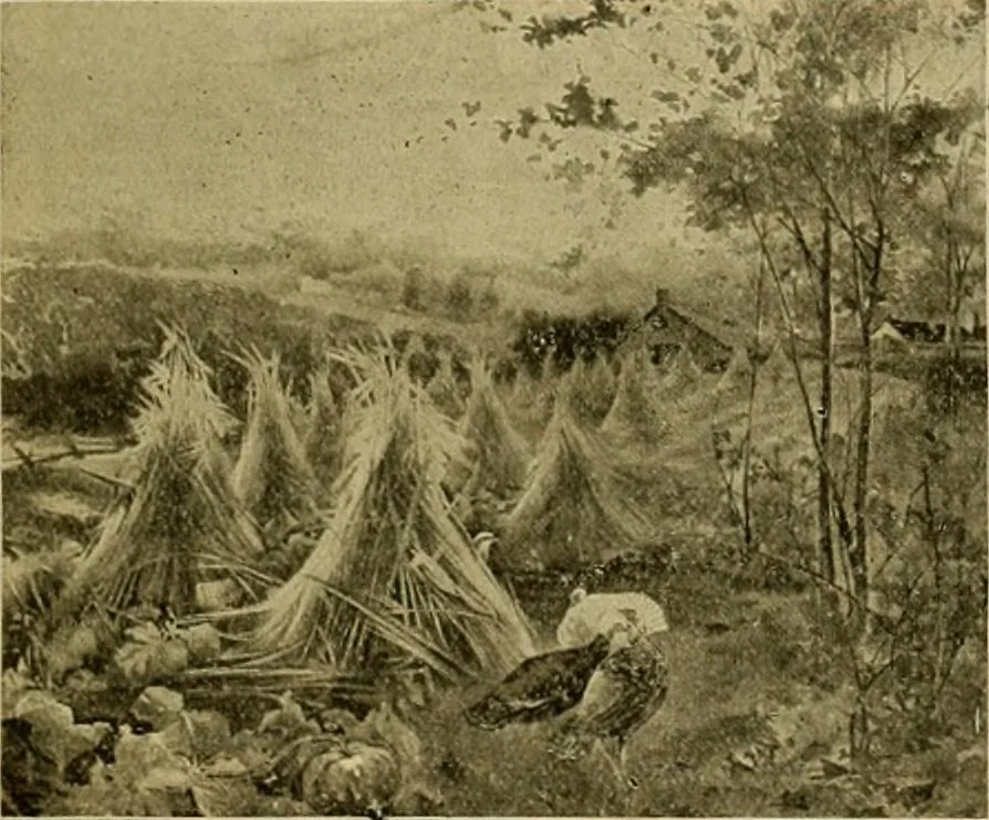 An illustration from [Catalog], 1902, leaf 54
