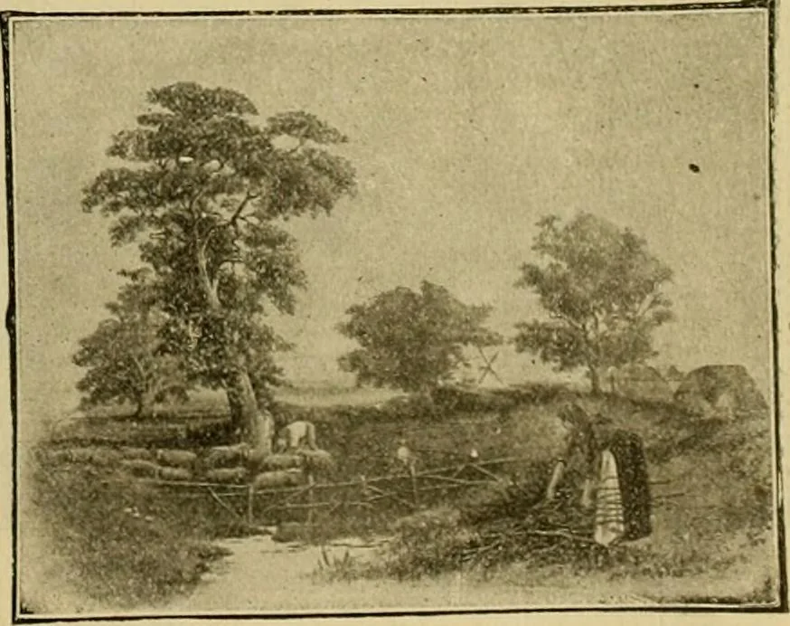 An illustration from [Catalog], 1902, leaf 56