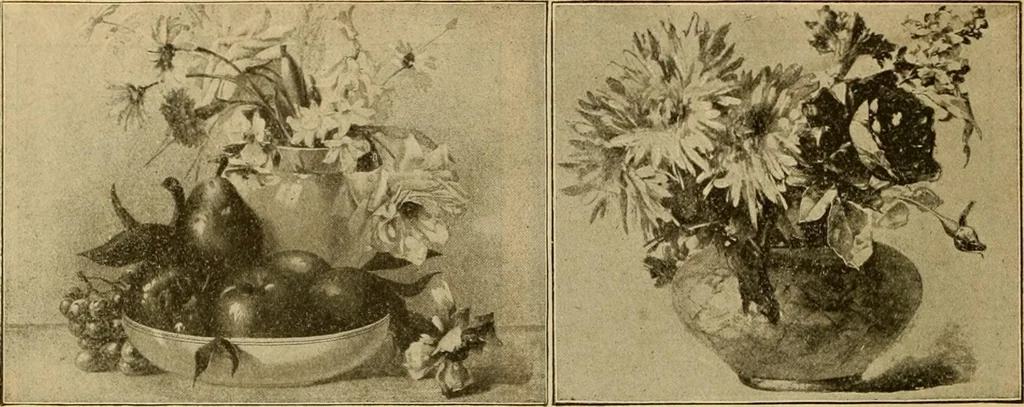 An illustration from [Catalog], 1902, leaf 57