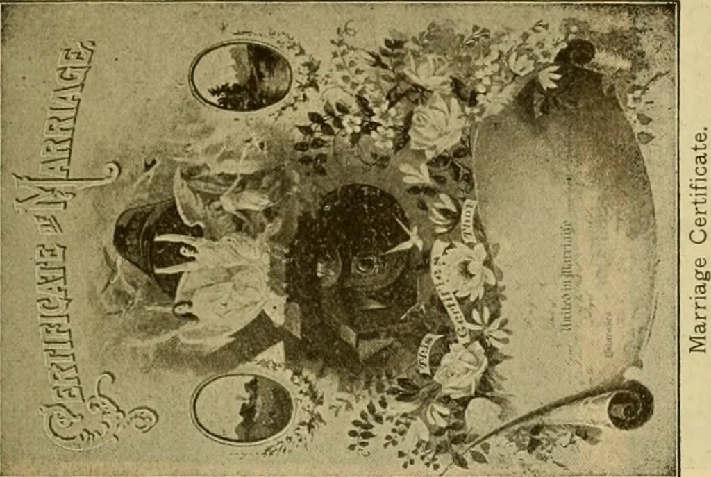 An illustration from [Catalog], 1902, leaf 62