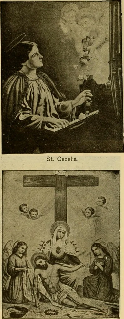 An illustration from [Catalog], 1902, leaf 62