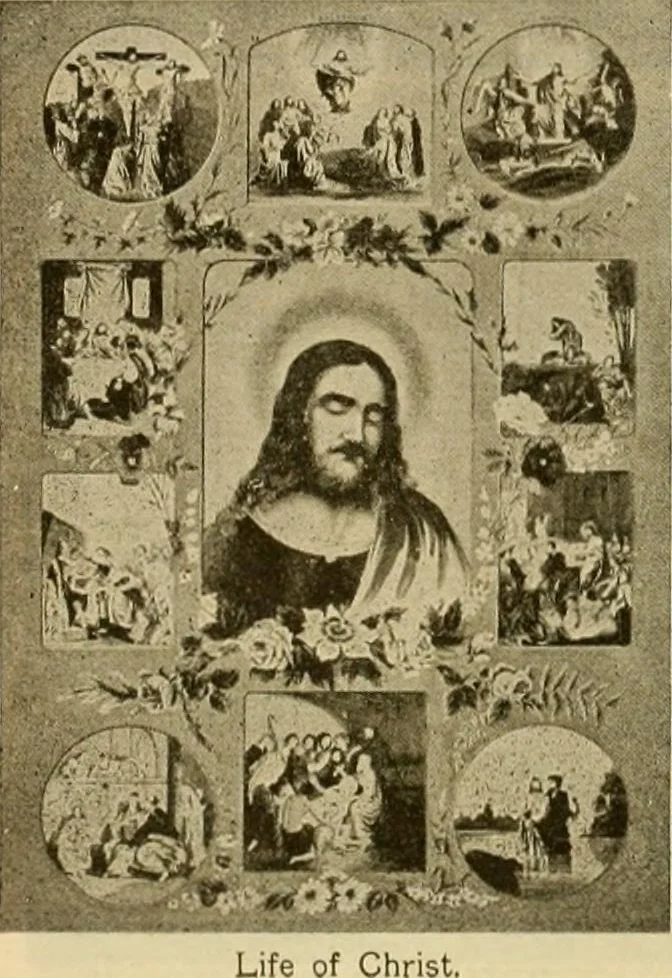 An illustration from [Catalog], 1902, leaf 63