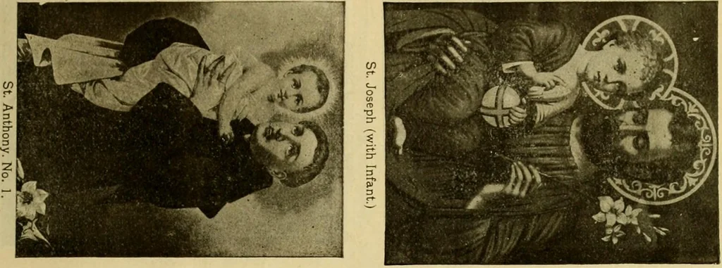 An illustration from [Catalog], 1902, leaf 64