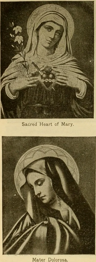 An illustration from [Catalog], 1902, leaf 65