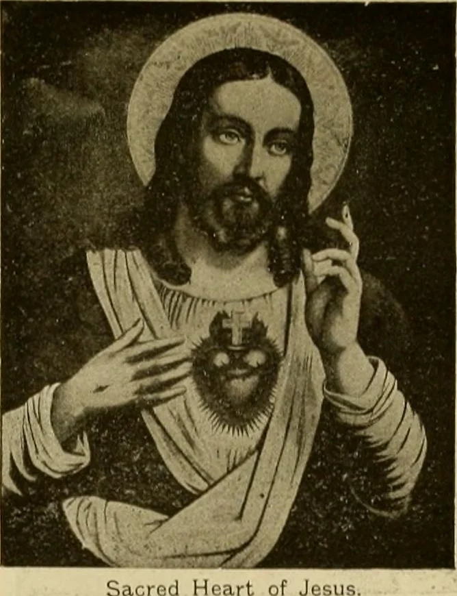 An illustration from [Catalog], 1902, leaf 65