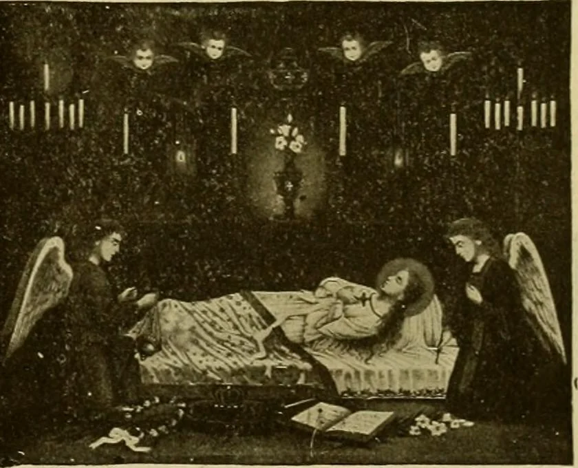 An illustration from [Catalog], 1902, leaf 66