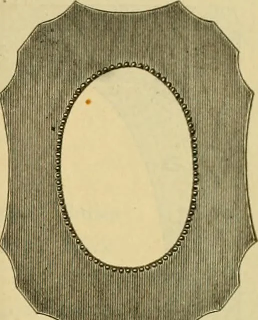 An illustration from [Catalog], 1902, leaf 8