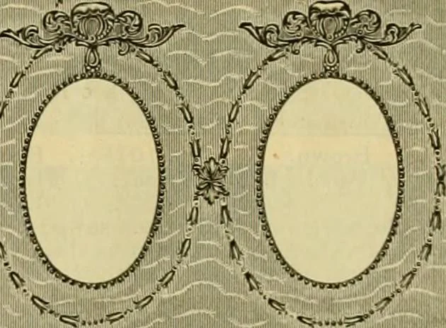 An illustration from [Catalog], 1902, leaf 8