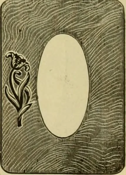 An illustration from [Catalog], 1902, leaf 8