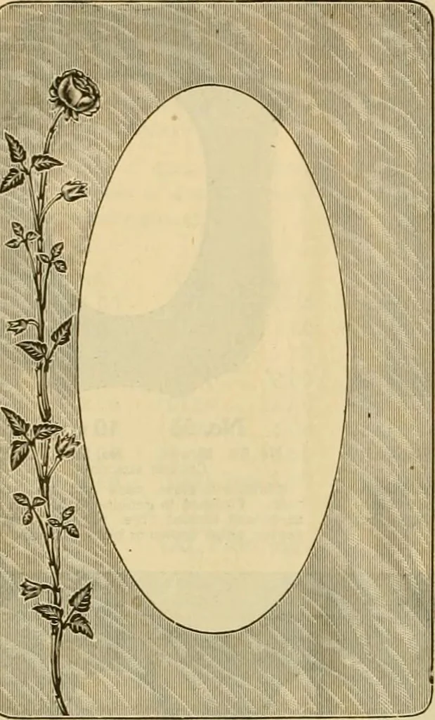 An illustration from [Catalog], 1902, leaf 9