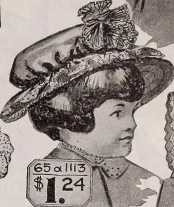 An illustration from [Catalog]., 1908, leaf 112
