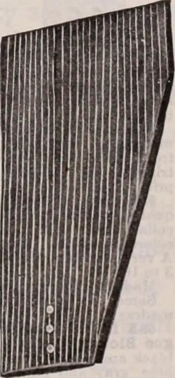 An illustration from [Catalog]., 1908, leaf 124